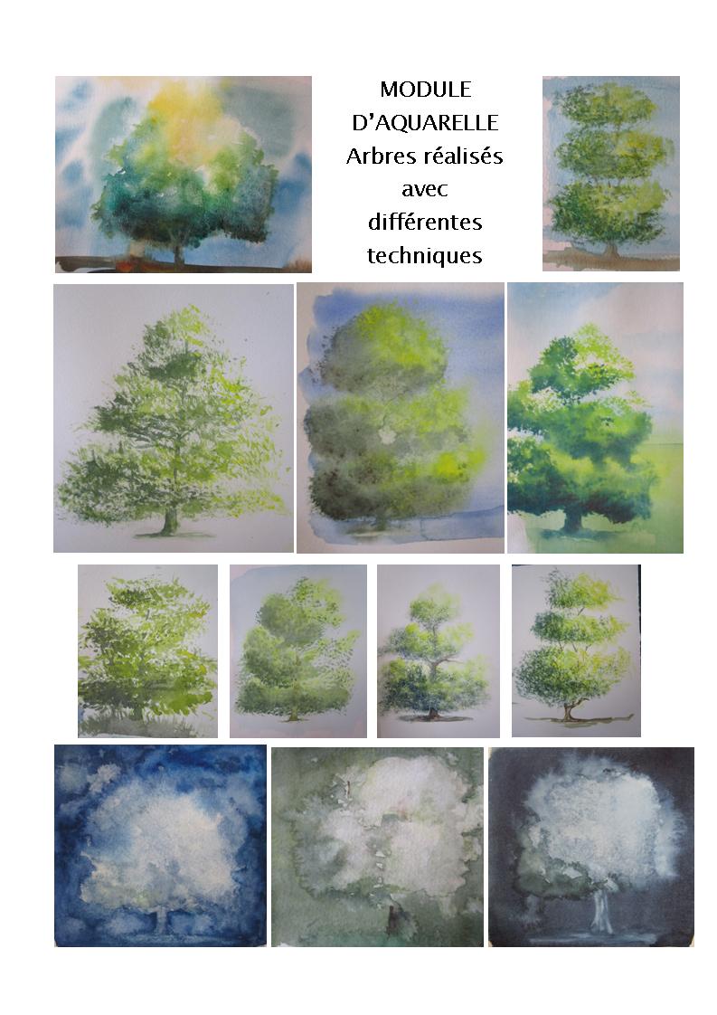 Image arbres